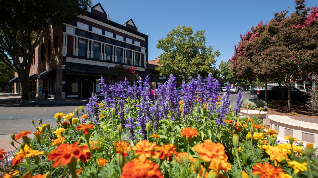 Solano County ADA Compliance Help | CCIS