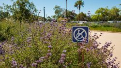 Blog: Accessible Parking Lots Common Mistakes and How to Fix Them #3