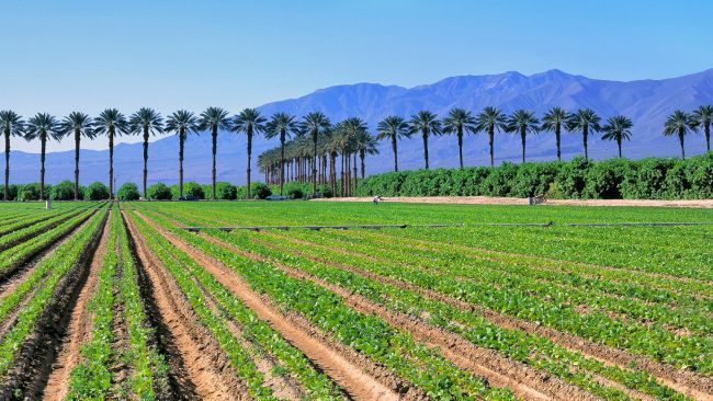Imperial County ADA Compliance